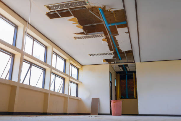 Reliable Elfers, FL Water damage restoration Solutions