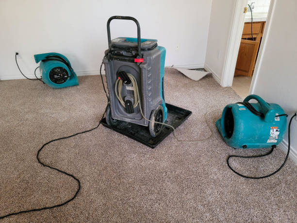 Best Water damage restoration near me  in Elfers, FL