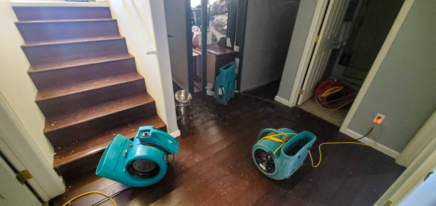 Best Fire Damage Restoration  in Elfers, FL