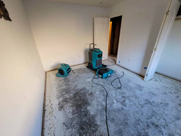 Best Commercial water damage restoration  in Elfers, FL