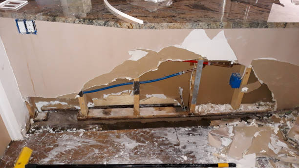 Best Flood damage cleanup  in Elfers, FL