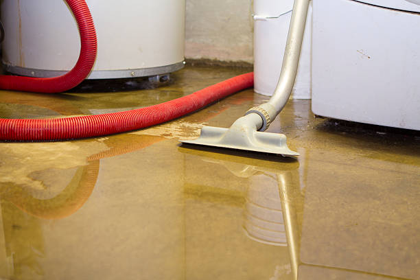Best Carpet water damage restoration  in Elfers, FL