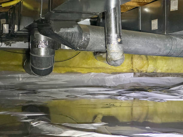 Best Flooded house restoration  in Elfers, FL
