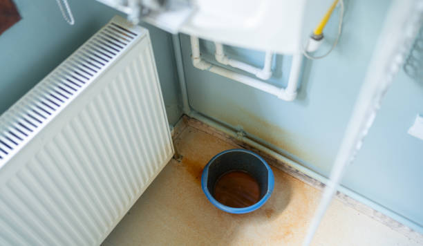 Best 24/7 water damage repair  in Elfers, FL