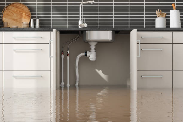 Best Sewage cleanup and water damage restoration  in Elfers, FL