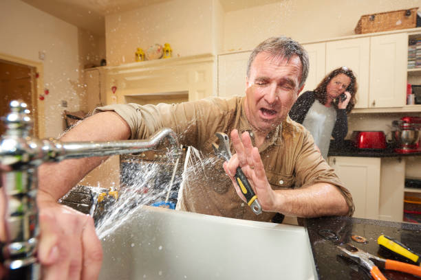 Best Mold removal after water damage  in Elfers, FL